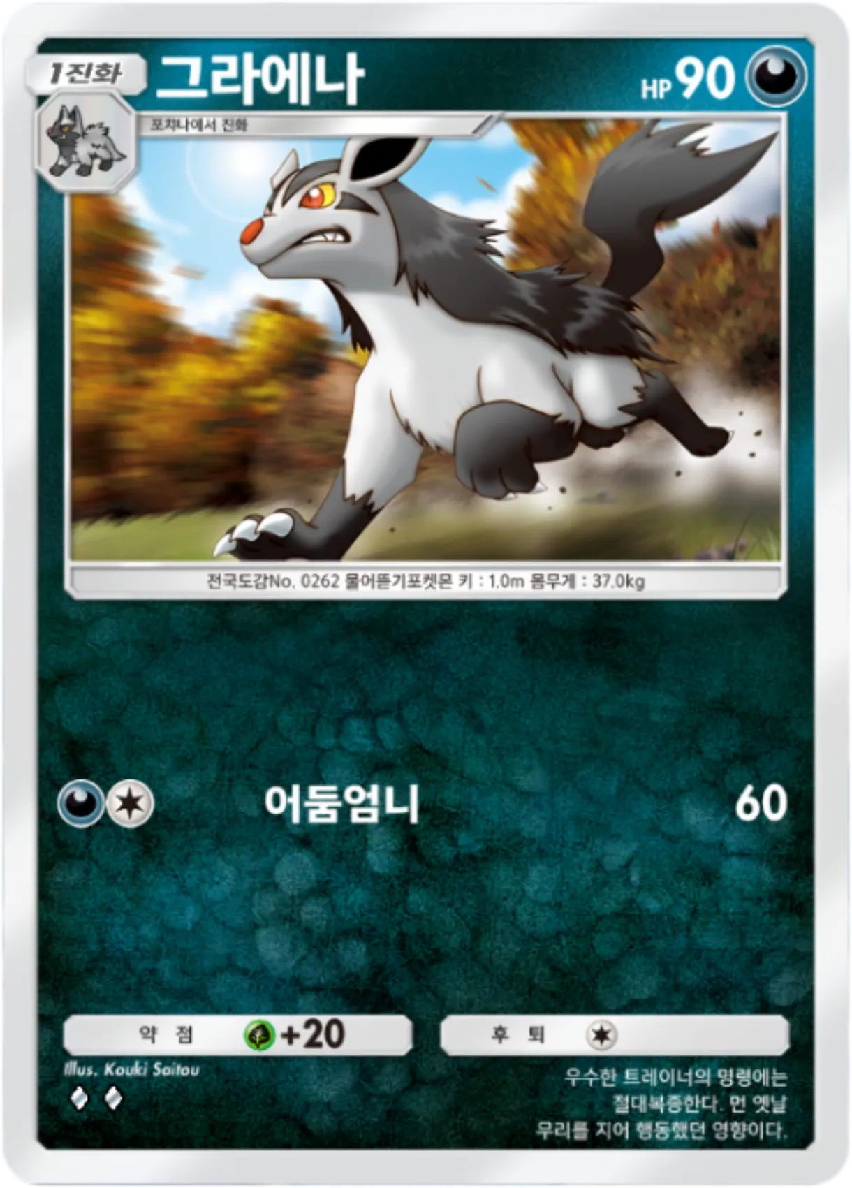 Card 101