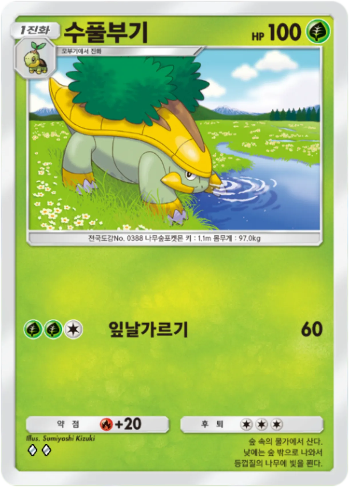 Card 11