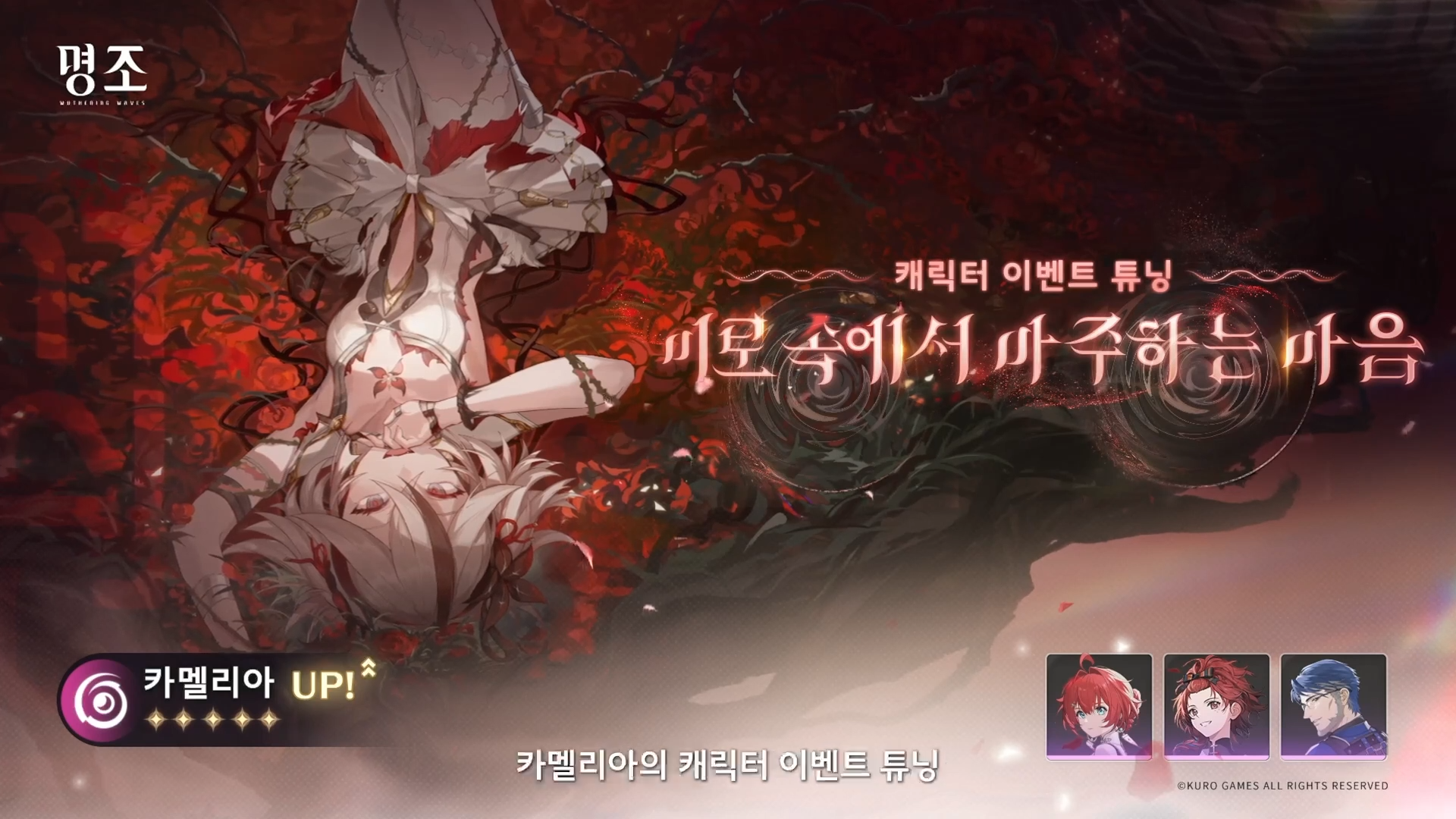 명조 2.2 공식 방송 복각 공명자 카멜리아 전반기